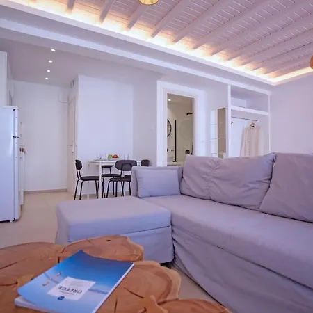 The Lavish Apartment *